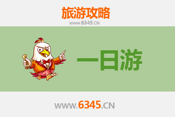 湛江廉江自驾一日游攻略：探索红树林与古镇风情